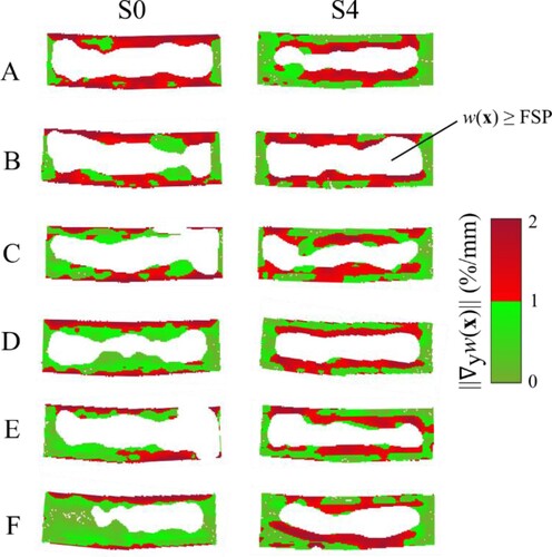 Figure 7. MG distributions in clear wood cross-sections of the specimens dried with schedules S0 (least aggressive) and S4 (most aggressive). For each specimen, the distribution is plotted at the time of Pmax