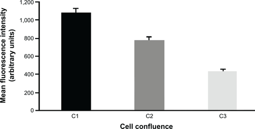 Figure S4 NP internalization as a function of cell confluence.Notes: Cells were treated with NPs during 30 minutes at 3 μg/cm2 in Dulbecco’s Modified Eagle’s Medium, 24 hours after seeding at three concentrations: 2,000 (C1), 15,000 (C2), and 50,000 (C3) cells/cm2, corresponding to about 50%, 70%, and ~100% confluence, respectively. Quantification of NP internalization was performed by flow cytometry after the addition of Trypan blue. Results are expressed as mean cell fluorescence intensity (arbitrary unit) ± standard error of the mean; n=3.Abbreviation: NP, silica nanoparticle.