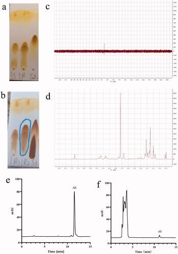 Figure 2. (a) Running board monitoring of the first step reaction. 1S was the control of mPEG2000-PLGA18000 (50/50) and 1 R was the reaction solution of the first step reaction, S2 was the CDI. (b) Running board monitoring of the second step reaction. 1R1 was the reaction solution of the first step, 1R2 was the reaction solution of the second step and S3 was the solution of tetrabutylammonium hydroxide. (c) Phosphorus spectrum of the target product. (d) Hydrogen spectrum of the target product. (e) HPLC chromatogram of AS in vitro. (f) HPLC chromatogram of AS in vivo.