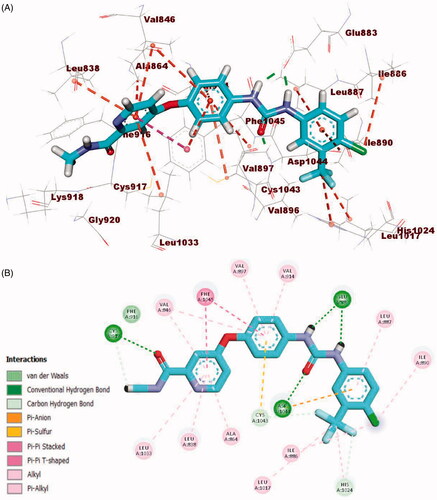 Figure 10. (A) 3D binding mode of sorafenib into VEGFR-2. (B) 2D binding mode sorafenib into VEGFR-2.