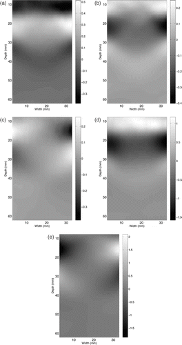 Figure 8. Snapshot of computed strain values (×10−3) (a) εxx, (b) εyy and (c) εxy, and velocities (μm s−1) (d) dux/dt and (e) duy/dt, where X and Y are the vertical and horizontal directions, respectively. Available in colour online.