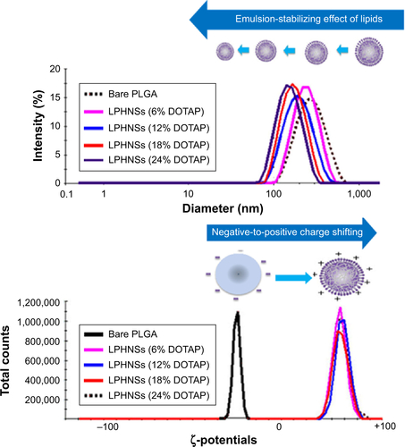 Figure S1 Representative dynamic light-scattering (DLS) graphs.Notes: Influence of cationic lipid concentration on LPHNS size and surface changes. The concentration-dependent size reduction and surface-charge changes are shown in the representative DLS images.Abbreviations: LPHNS, lipid–polymer hybrid nanosphere; PLGA, poly(d,l-lactic-co-glycolic acid); DOTAP, 1,2-di-(9Z-octadecenoyl)-3-trimethylammonium-propane (chloride salt).