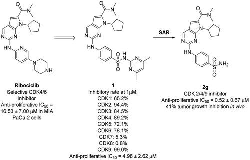 Figure 1. Discovery of 2-((4-sulfamoylphenyl)amino)-pyrrolo[2,3-d]pyrimidine derivatives as CDK inhibitors.