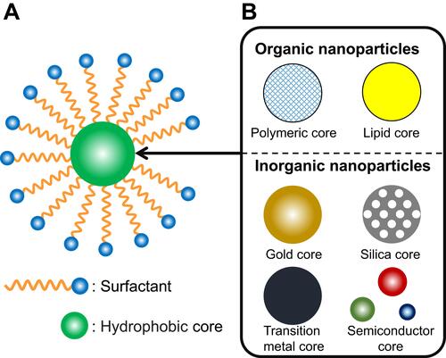 Figure 2 (A) Typical Illustration of surfactant-coated nanoparticles. (B) Various organic and inorganic materials used in the core of surfactant-coated nanoparticles.