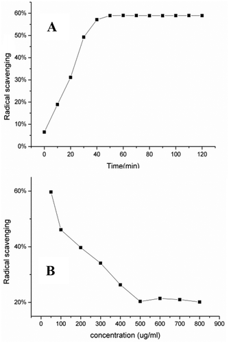 Figure 3. Change curves of DPPH radical scavenging with reaction time (A) and DPPH concentration (B).