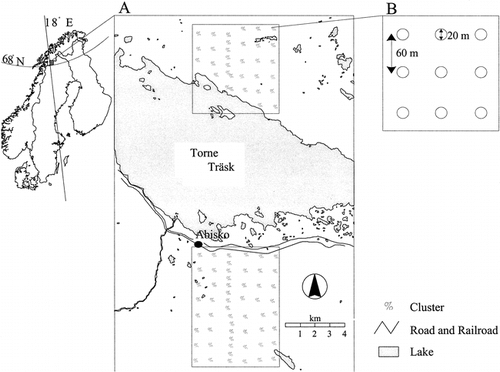 FIGURE 1. A schematic map showing the location of the test area around the lake Torne Träsk in northern Sweden and the sampling design and the field plots