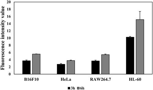 Figure 5. Comparing the fluorescence intensity of T2BP-FITC in each cell (B16F10, HeLa, RAW264.7, HL-60) for 3 and 6 h.