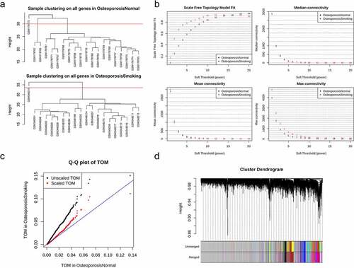 Figure 1. Data process and consensus modules detection. (a) the clustering trees of the samples of nonsmokers (upside) and smokers (downside) in GSE13850; (b) network topology analysis: network indices (y-axes) and their corresponding soft thresholding power (x-axes); (c) the Q-Q plot of TOM before (black) and after scaling (red); (d) the consensus modules before and after merging