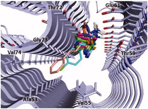 Figure 6. Binding site of α-syn identified through docking studies for this class of inhibitors. The image is created by PyMOL software (https://pymol.org).