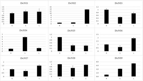 Figure 6. Relative expression of DcNIs in roots (R), stems (S) and leaves (L) of D. catenatum. The expression level in roots was arbitrarily set to 1 and the levels in other organs were given relative to this.