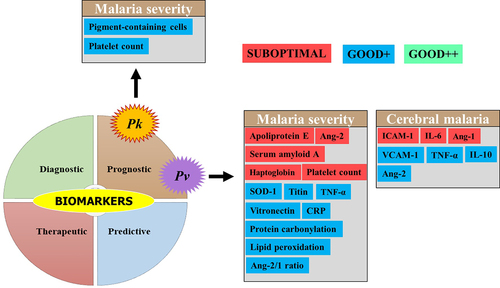 Figure 6. Biomarkers evaluated for severe Pv and Pk malaria.