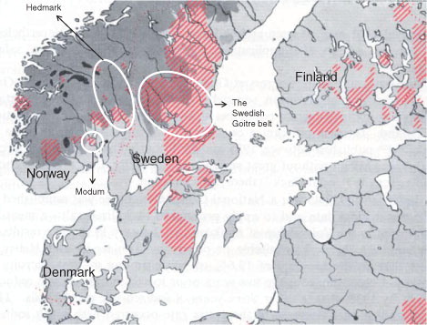 Fig. 1 Map of the Nordic countries (except Iceland) in 1960 (Citation55). Dark gray represents mountain areas and striped areas are goiter regions. Sweden still has large areas of goiter 24 years after the start of the iodization program and the salt iodine content was increased in 1966. Goitrous areas are also seen in Norway and Finland.