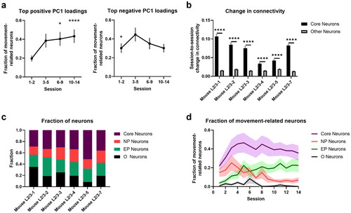 Figure 8. Analysis of top PC1 neurons in L2/3. a. Fractions of neurons from the top positive and the top negative PC1 loadings that are classified as movement related (* 5th upper percentile, ****0.01th upper percentile). b. Session-to-session connectivity change among core and non-core neurons. **** p-value < 10-4 (two-sided two sample t-test). c. Fractions of core, NP, EP and O neurons (n = 6 mice). d. Fractions of movement-related neurons among core, NP, and EP groups. In all figures, shaded regions and error bars represent s.e.m. (a and d) across all animals or (b) across neurons for each animal.