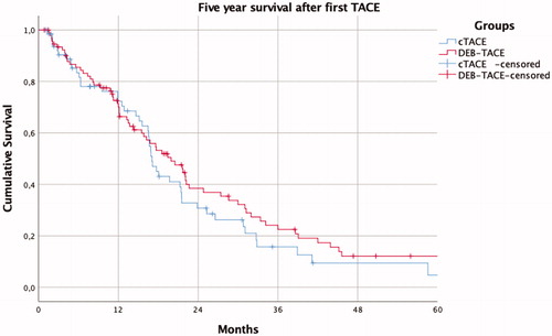 Figure 2. Kaplan–Meier survival curve for the first 5 years after treatment of the cTACE and DEB-TACE groups (log rank p = .33).