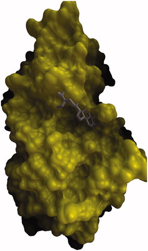 Figure 1. Comparison of binding mode of β-sitosterol in the active site pocket of human pancreatic α-amylase.