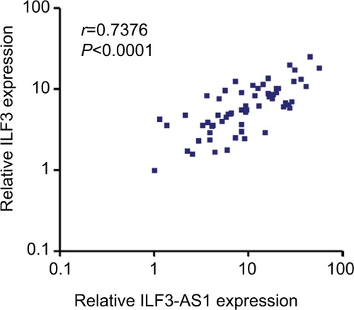 Figure 4 The positive correlation between ILF3 and ILF3-AS1 expression levels in melanoma.Note: The correlation between ILF3 and ILF3-AS1 expression levels in 60 melanoma tissues was determined by Pearson correlation analysis: r=0.7376, P<0.0001.