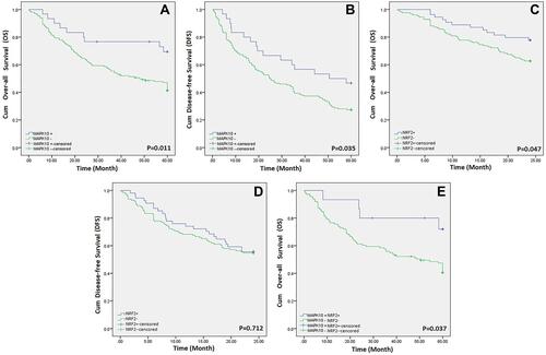 Figure 2 Survival curves of HCC patients based on MAPK10 and NRF2 expression levels. (A) long-term overall survival curves of high and low MAPK10 expression groups. (B) long-term disease-free survival curves of high and low MAPK10 expression groups. (C) short-term overall survival curves of high and low NRF2 expression groups. (D) short-term disease-free survival curves of high and low NRF2 expression groups. (E) long-term overall survival curves of high and low MAPK10 and NRF2 expression groups.