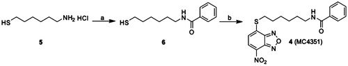 Scheme 1. Preparation of compound 4. (a) Benzoyl chloride, N,N-diisopropylethylamine, dry DCM, N2, 0 °C to rt; (b) 4-chloro-7-nitrobenzofurazane, pyridine, ethanol/water 1:1, N2, rt.