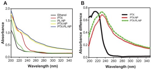 Figure 4 Absorption spectra of PTX in nanoparticles. (A) Absorption spectra of ethanol, free PTX dissolved in ethanol, PL-NP, PTX-NP, and PTX-PL-NP were scanned in the wavelength range of 200–350 nm. (B) Subtraction spectra for PTX loaded in various forms of nanoparticles. Subtraction spectrum for free PTX was obtained by subtracting ethanol spectrum of (A) from PTX absorption spectrum of (A). The subtraction spectra for PTX included in PTX-NP and PTX-PL-NP were obtained by subtracting the absorption spectrum of PL-NP of (A) from PTX-NP of (A), and PTX-PL-NP of (A), respectively.Abbreviations: PTX-NP, paclitaxel nanoparticles; PTX-PL-NP, paclitaxel-phospholipid nanoparticles; PL-NP, phospholipid nanoparticles.