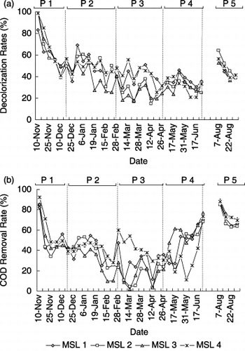 Figure 2  (a) Decolorization rates and (b) chemical oxygen demand (COD) removal rates in the four multi-soil-layering (MSL) systems as affected by material composition and aeration. P, period.