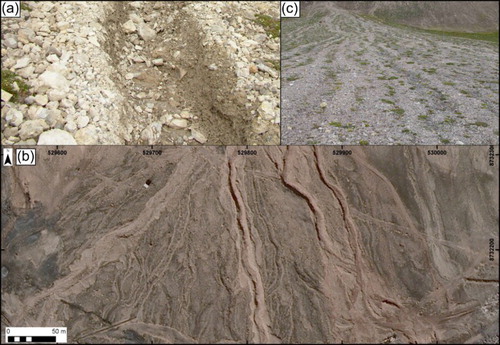 Figure 4. Examples of debris-flow-dominated fan surface morphology: (a) ground view of recent debris flow channel; (b) orthophoto of the debris-flow-dominated fan depicting a dense network of recent (‘fresh’) and older debris flow channels and lobes (c) ground view of older, partly levelled, debris flow channels.