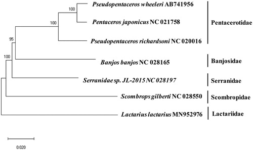 Figure 1. Phylogenetic tree of Lactarius lactarius with its relative species: Complete mitogenomes were retrieved from GenBank to construct a phylogenetic tree by using MEGA7 software using Minimum Evolution (ME) algorithm with 1,000 bootstrap replications. All mtDNA sequence of species has its GenBank accession numbers with the scientific name.