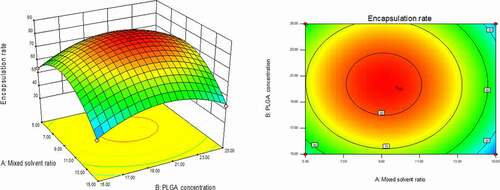 Figure 2. Curved surface effect diagram of the influence of PLGA concentration and mixed solvent ratio on the encapsulation efficiency