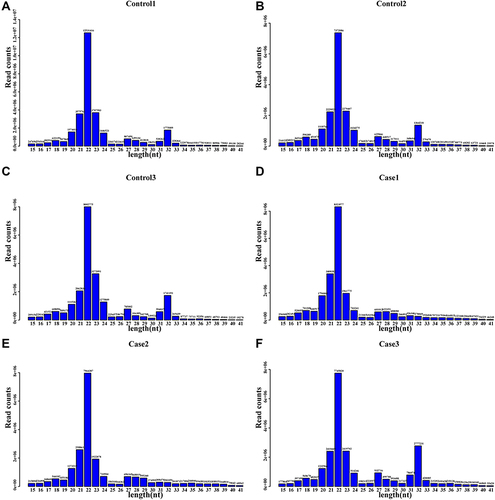 Figure 2 Length distribution and abundance of the small RNA sequences.