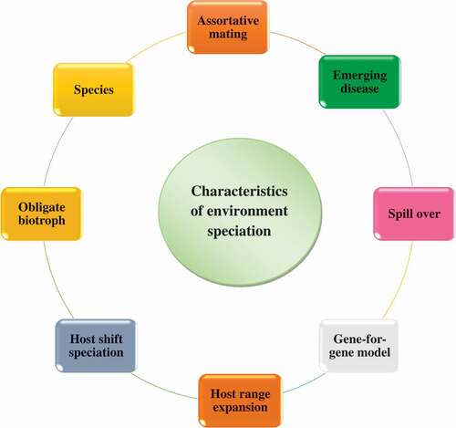 Figure 1. Characteristics of environment speciation.