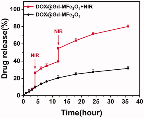 Figure 3. In vitro DOX release from DOX@Gd-MFe3O4 NPs in the presence and absence of NIR laser (2 W/cm2, 5 min). Values are expressed as mean ± SD (n = 3).