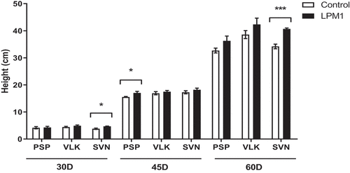 Figure 1. Height of bell pepper varieties grown under shade house conditions. (PSP) Prosperity, (VLK) Valkiria, and (SVN) Sven at 30, 45, and 60 days after inoculation with Bacillus subtilis LPM1 (black bars) and uninoculated control (white bars). Level of significant differences: *, p ≤ 0.05; ***, p ≤ 0.001; one-way ANOVA.