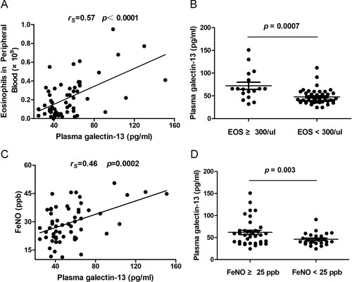Figure 3. Increased plasma galectin-13 expression is associated with airway eosinophilic inflammation in COPD. (A) The association between plasma galectin-13 levels and the percentage of eosinophils in peripheral blood. (B) Plasma galectin-13 levels in COPD subjects with different eosinophil counts in peripheral blood. (C) The association between epithelial galectin-13 levels and FeNO. (D) Plasma galectin-13 levels in COPD subjects with different levels of FeNO.