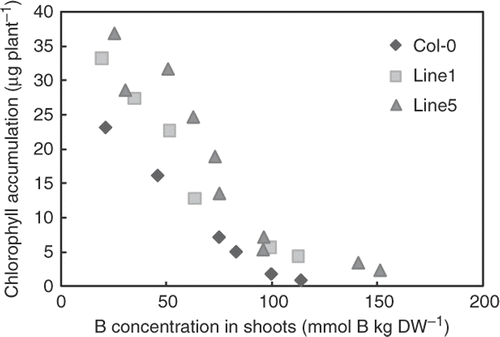 Figure 6. Correlation between boron (B) concentration and chlorophyll accumulation. Means of B concentrations (X-axis) and chlorophyll accumulation (Y-axis) of shoots of the plants grown under 1–10 mM boric acid for 18 days were plotted (n = 6–8 for chlorophyll accumulation, n = 2–8 for B concentration).