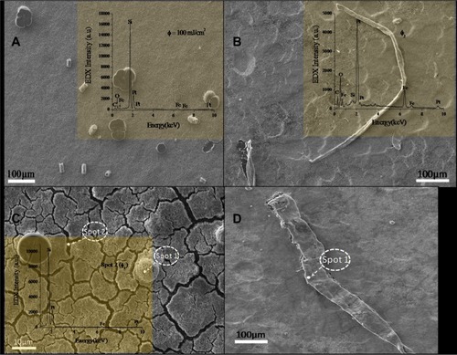 Figure 4 Scanning micrographs of iron–platinum nanostructures synthesized on a silicon substrate without annealing by laser solution photolysis using different laser fluences.