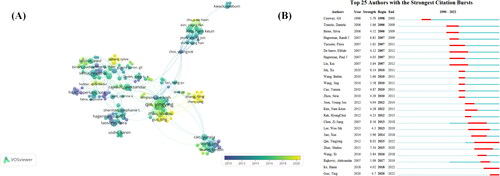 Figure 6. Co-authorship analysis of authors. (A) The analysis method is linlog/modularity in VOSviewer, with weights as a number of citations. The thickness of the lines indicates the strength of the relationship. (B) Top 25 most cited authors according to CiteSpace. ɣ: 1.0, minimum length: 2.