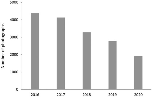 Fig. 4. Number of photographs taken within Norway and uploaded to Flickr between 2016 and 2020 (total 16,499)