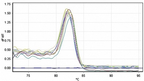 Figure 9 The standard curve obtained from the amplification of L. major SODB1 gene over 5-fold serial dilutions of the parasitic DNA, ranging from 5.3×104 parasites to 5.3 parasites per reaction.