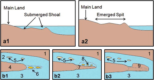 Figure 3. Conceptual sketch on the various stages of formation of Talashil spit; (a1) and (a2) emergence of submerged shoal; (b1) main land with submerged shoals, (b2) sand bar extension and (b3) spit growth. (1) Main land; (2) river; (3) sea; (4) sandbar; (5) river islands; (6) submerged shoals; (7) extended sandbar; (8) submerged river islands near to extended sandbar; and (9) grownup spit.