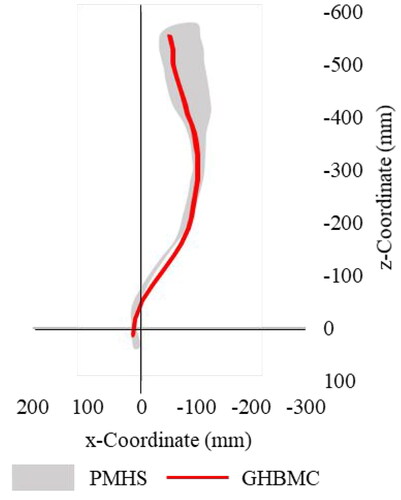 Figure 5. Corridor for spine curvature from the PMHS and adjusted GHBMC spine curvature.