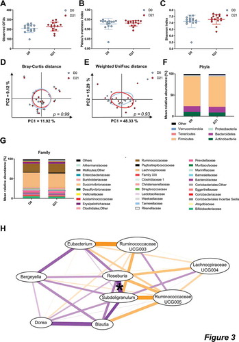 Figure 3. CG did not change the overall composition of the gut microbiota.