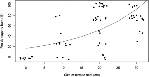 Figure 3. Association between the size of termite nests (i.e. the maximum Feret diameter: 0–10, 10–20, 20–30 or >30 cm) and the extent of damage to Mauritia flexuosa stems (% damage to rhytidome and cortex) following a wildfire. The fitted line is derived from a generalised linear model with a quasi-poisson distribution fitted using a maximum likelihood function in Rstudio (version 1.2.1335). Only palms showing evidence of fire are included, palms with termite nest above 2.5 m are also excluded. Points are jittered for clarity, n = 69