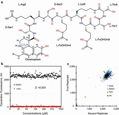 Figure 1. High throughput-screening for pyoverdine-inhibiting compounds. (a) Chemical structure of pyoverdine produced by P. aeruginosa PAO1. (b) Quantification of pyoverdine fluorescence in the presence of negative (DMSO) or positive control (ferric iron). (c) Representative data from four pooled screening plates, showing high correlation between replicates. X- and Y-axis show pyoverdine fluorescence (AFU) for respective replicates.