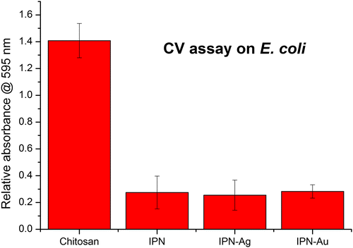 Figure 8. Relative absorbance values of chitosan, cross-linked Chi-TEOS IPN and Chi-TEOS IPN with Ag/Au NPs. The absorbance corresponds to the degree of bacterial attachment during the CV assay with E. coli. There is a significant reduction in attachment upon cross-linking with TEOS, while the addition of Ag/Au NPs does not contribute to antimicrobial activity.