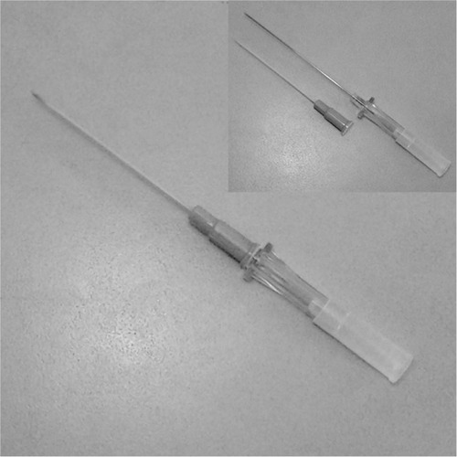 Figure 2 A 20-G IV catheter assembly. The smaller inset figure represents the 20-G needle and catheter, separated.