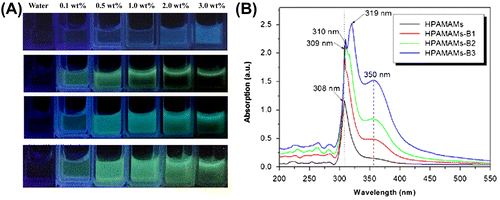 Figure 2. Illumination photographs of aqueous solutions of HAMAMs, HAMAMs-B1, HAMAMs-B2, and HAMAMs-B3 with different concentrations under UV irradiation (A) and UV–vis spectra of HAMAMs, HAMAMs-B1, HAMAMs-B2, and HAMAMs-B3 (B).