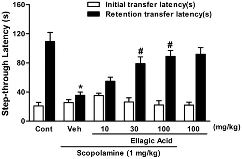 Figure 3. Effect of a single administration of ellagic acid (EA) on scopolamine-induced memory deficits in the passive avoidance task. EA (10, 30 and 100 mg/kg, i.p.) or vehicle (Veh) were administered to rats 30 min before the acquisition trials. Memory impairment was induced by scopolamine treatment (0.4 mg/kg, i.p.). Acquisition trials were carried out 30 min after scopolamine treatment. Retention trials were carried out for 5 min 24 h after the acquisition trials. Data represent means ± SEM (n = 8 in each group). *versus the vehicle control group, #versus the scopolamine-treated group (one-way ANOVA followed by Dunnett's test).