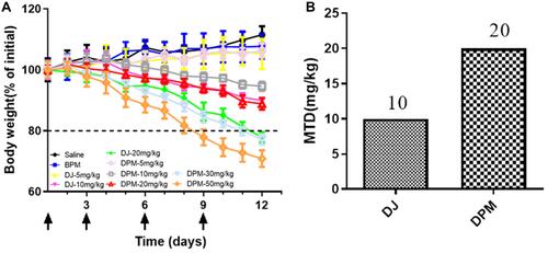 Figure 8 MTD in tumor-bearing nude mice. (A) Mice body weight change (% of initial) after repeated administration of different DTX formulation. (B) The maximum tolerated dose of BPM and DJ. Data are expressed as mean ± SD (n=4).