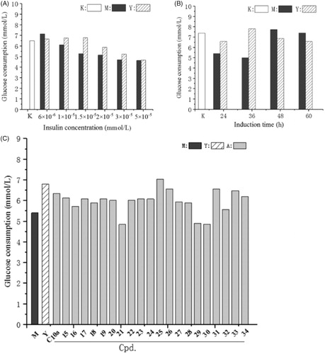 Figure 4. The effect of the compounds on glucose consumption in insulin-resistant HepG2 cells. (A) The HepG2 cells were induced with different concentrations of insulin; (B) The HepG2 cells were induced for different induction times; (C) HepG2 cells were induced with 1.5 × 10−5 mmol of insulin for 36 h to afford insulin-resistant cells, and then treated with rosiglitazone (Y group) or the compounds for 24 h. After incubation, glucose content in the culture medium was measured by glucose oxidase method. M group: insulin-resistant HepG2 cells without rosiglitazone and the compounds; K group: HepG2 cells without induction by insulin.