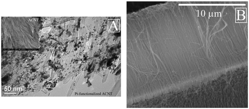 Figure 2. The SEM morphological image of Pt-functionalised ACNT and carbon nanotubes: (A) the Pt-ACNT, insert: the top-down image of MEA and (B) the cross-sectional image of ACNT.
