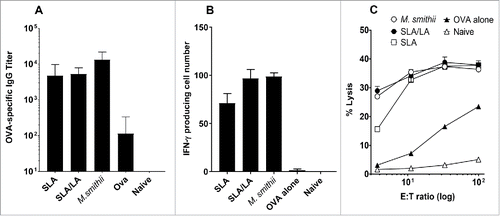 Figure 3. Immune responses induced by OVA entrapped in different archaeosomes. C57/BL6 mice (n = 6/gp) were immunized with 20 µg OVA alone or entrapped in SLA, SLA:LA or M. smithii archaeosomes on days 0 and 21. At 3 weeks post second immunization, serum was collected and OVA-specific IgG titers measured by ELISA (panel A). Representative mice (n = 2 per group) were killed and splenocytes isolated. Pooled splenocytes were stimulated with IL-2 (0.1 ng/mL) and OVA257–264 (10 μg/ml) and the frequency of IFN-gamma secreting cells in triplicate cultures enumerated by ELISPOT. Number of spots/106 spleen cells is indicated (panel B). Splenocytes were stimulated with OVA275–264 for 5 d before assessing CTL activity against 51Cr-labeled targets. CTL data represent percentage of specific lysis of triplicate cultures ± SD at various E:T ratios (panel C).